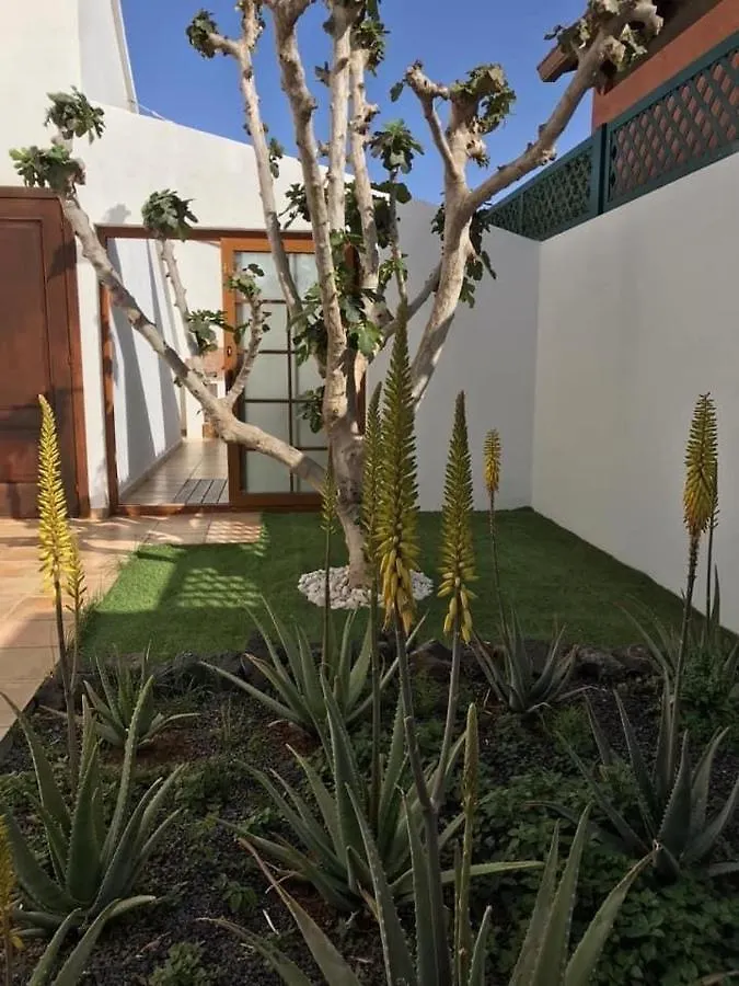Apartment Butterfly Suite Corralejo